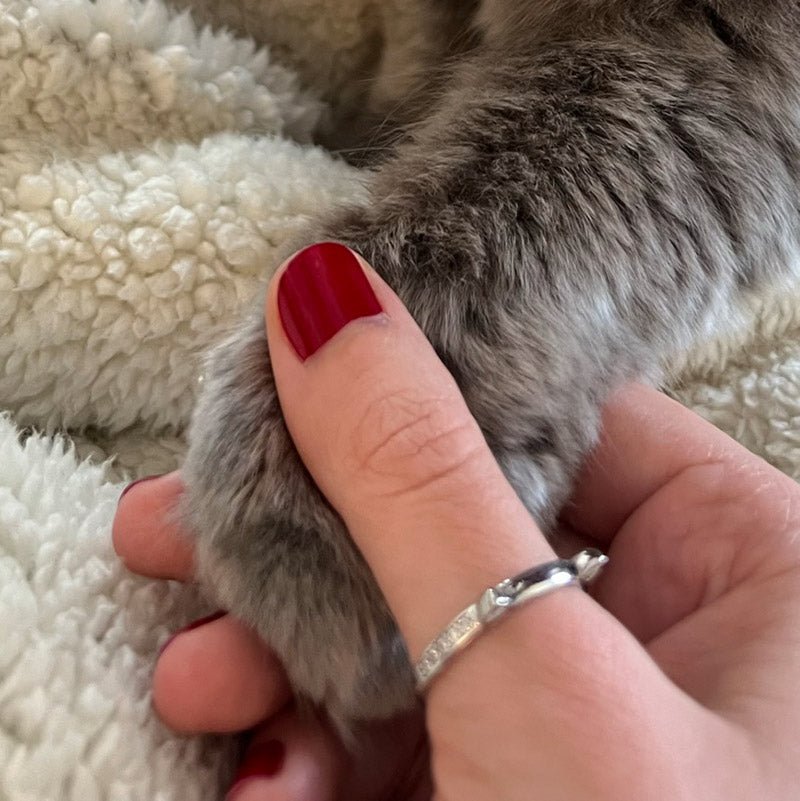 PET - RING - Vahlery