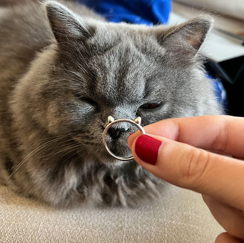 PET - RING - Vahlery